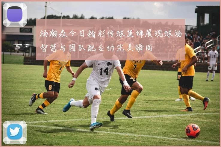 杨瀚森今日精彩传球集锦展现球场智慧与团队配合的完美瞬间